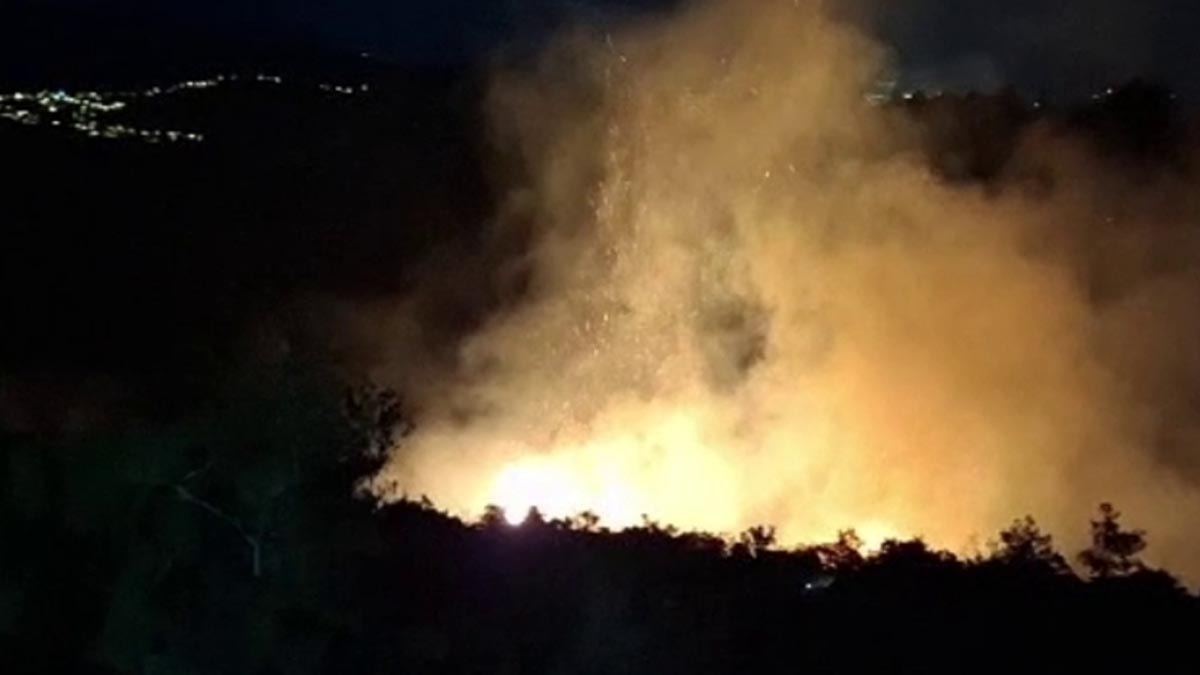 Antakya'da orman yangını kısa sürede söndürüldü