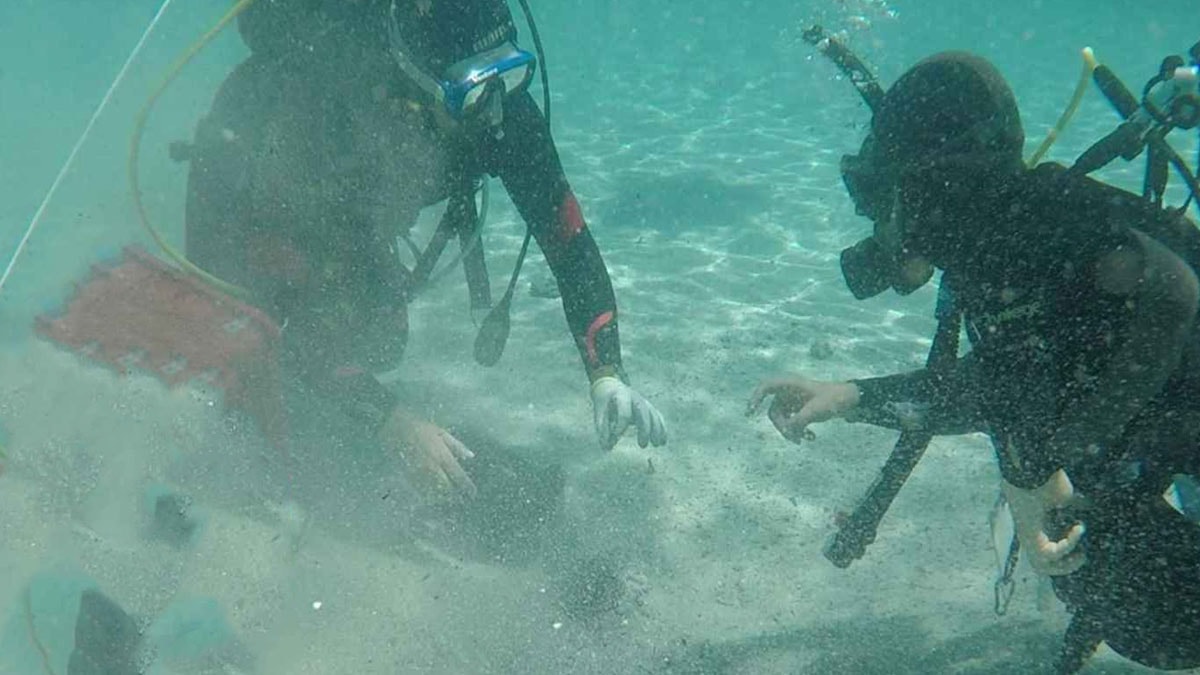Akdeniz'in dibinden madeni para hazinesi çıktı: Sayısı tam 40 bin