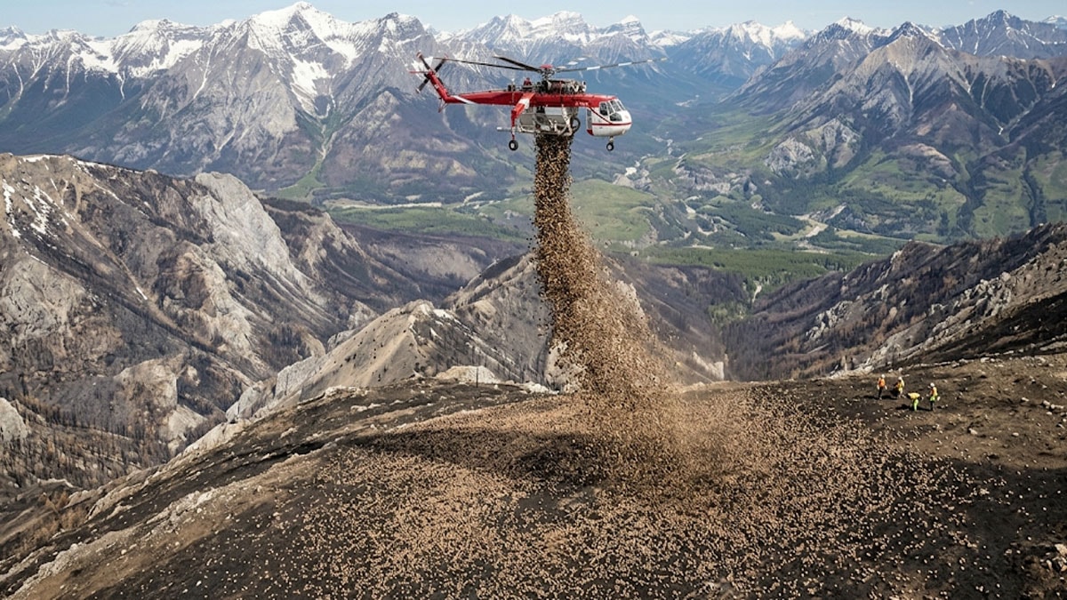 Binlercesi aynı anda helikopterle şehre bırakıldı