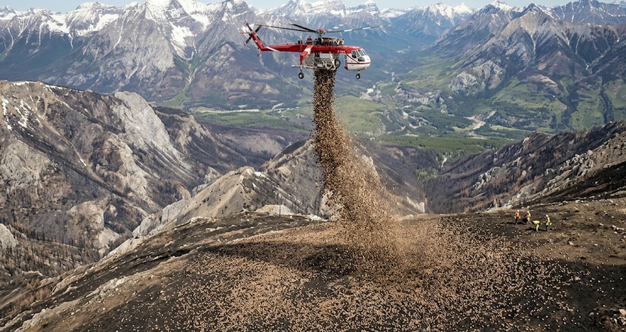 Binlercesi aynı anda helikopterle şehre bırakıldı