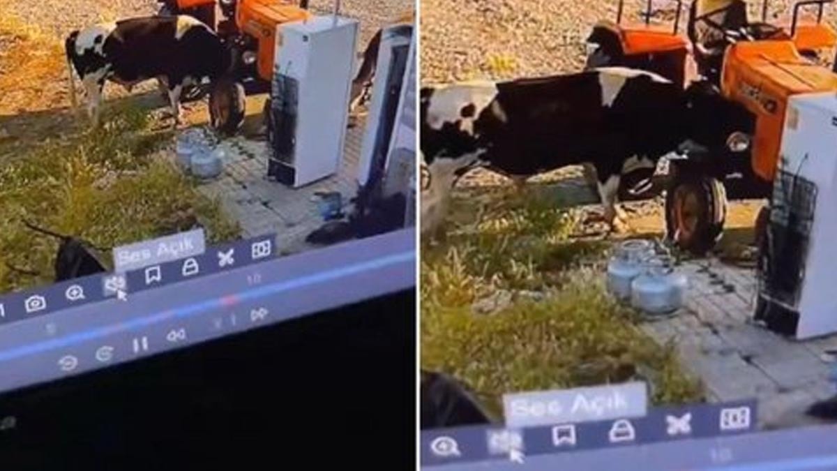 Görüntüsü olmasa kimsenin inanmayacağı bir olay