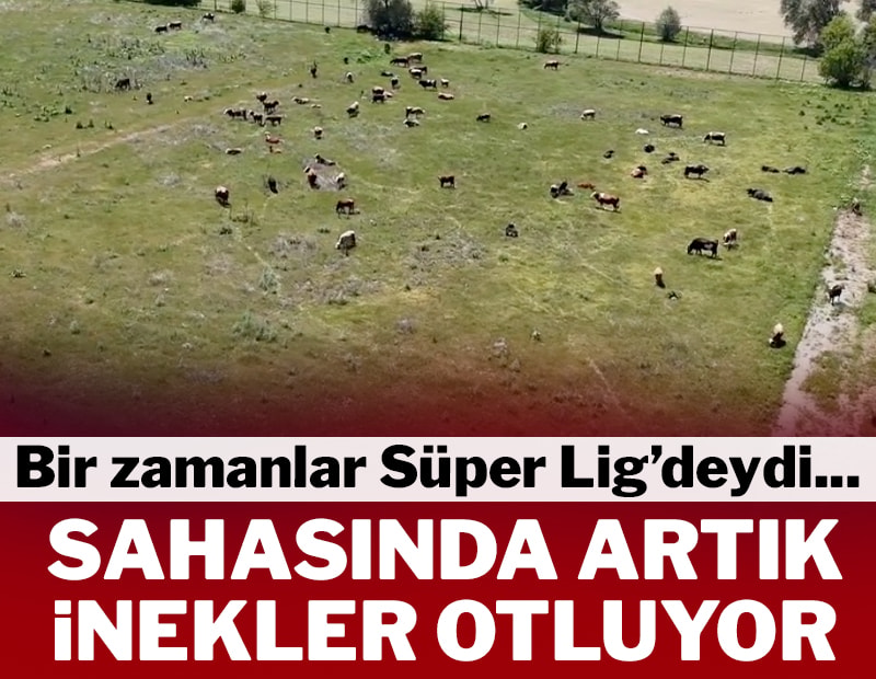 Bir zamanlar Süper Lig'de boy gösteriyordu! Tesislerinde artık inekler otluyor