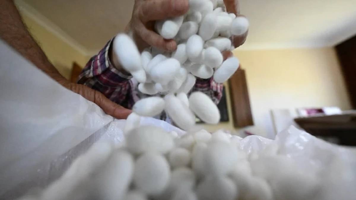 Hobi olarak başladı şimdi paraya para demiyor: 40 günde bir yıllık maaş kazanıyor