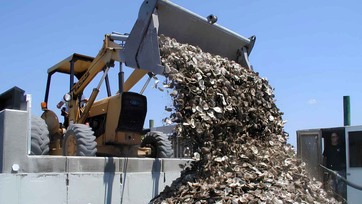 Tonlarcasını 6 ay boyunca güneşte bekletiyorlar: Her biri günde 190 litre su temizliyor
