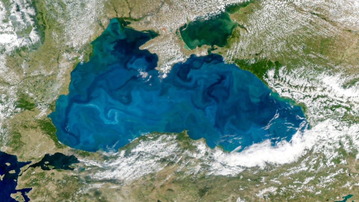 Karadeniz'in rengi değişti