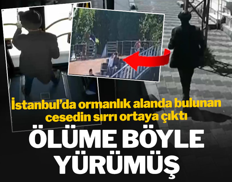 İstanbul'da ormanlık alanda bulunan cesedin sırrı ortaya çıktı: Ölüme böyle yürümüş