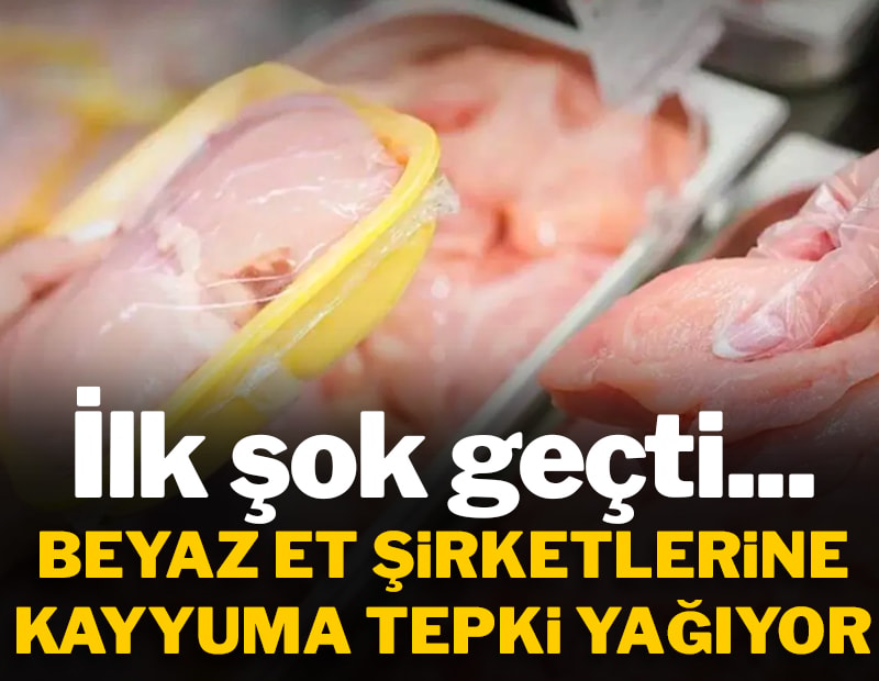 İlk şok geçti... Beyaz et şirketlerine kayyuma tepki yağıyor