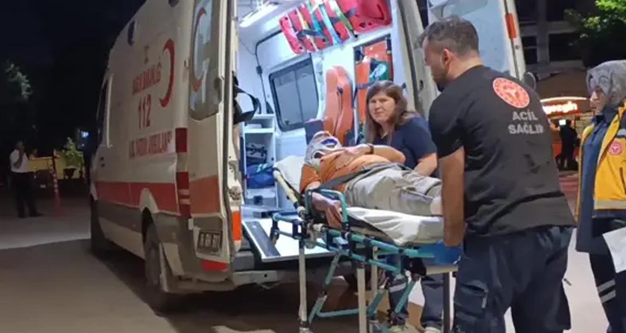 Erik toplarken ağaçtan düşüp, yaralandı