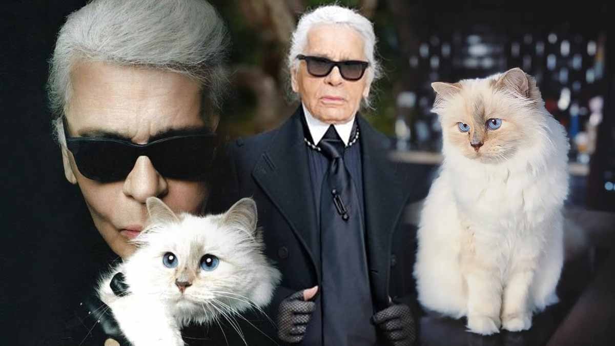 Milyarder Karl Lagerfeld'in zavallı kedisi