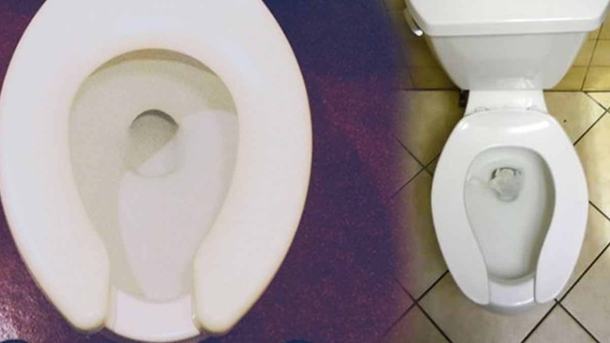 Amerika'da klozet kapaklarının U şeklinde olmasının aslında çok mantıklı bir sebebi varmış