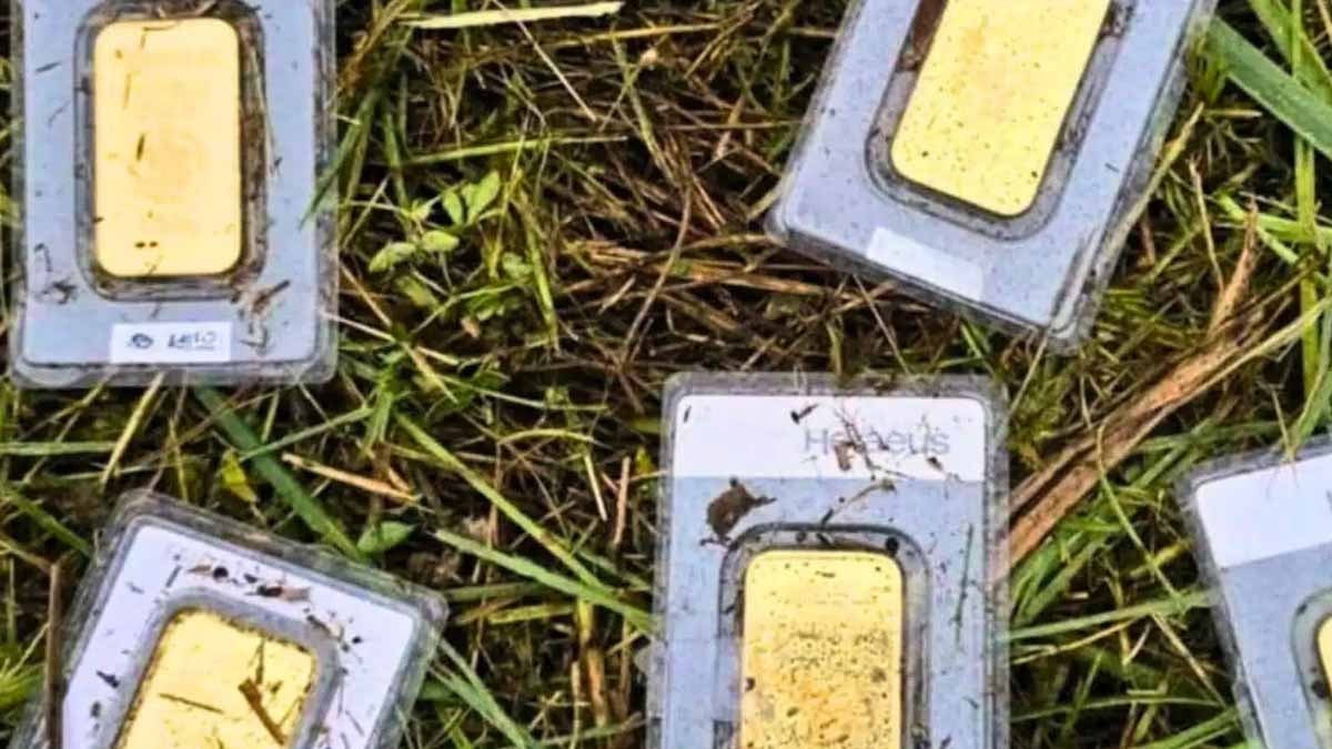 Belediye çalışanı, çim biçerken yanlışlıkla 40.000 euro değerinde altın buldu