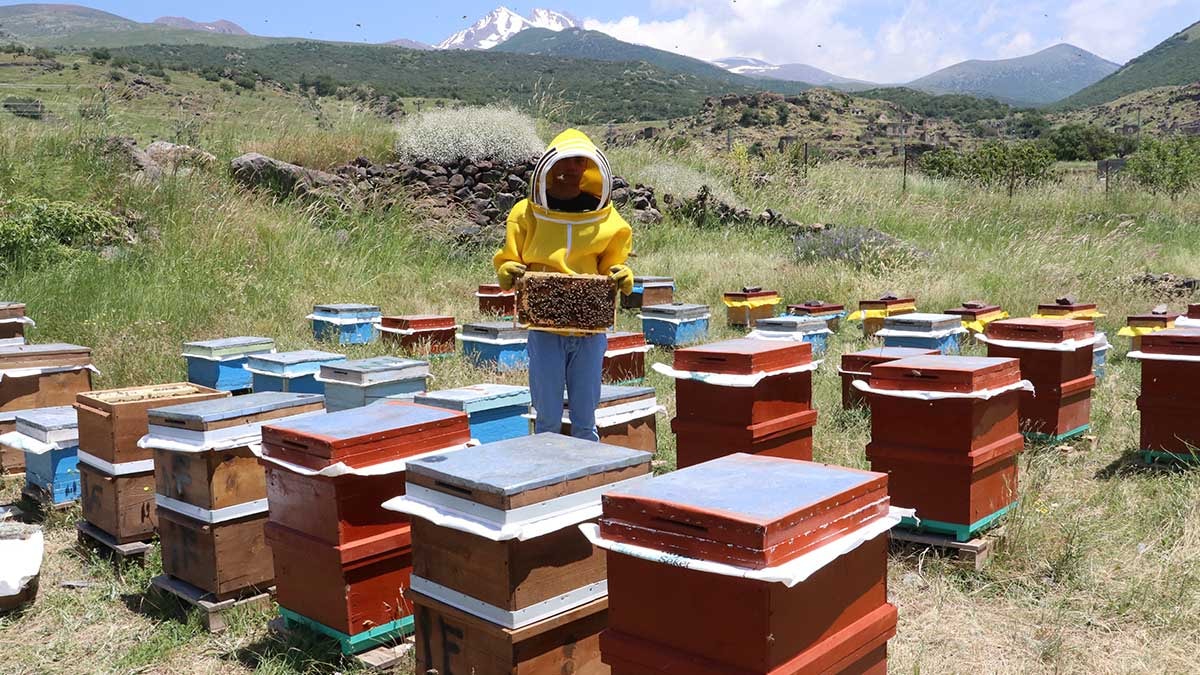 Dedesinin terk ettiği köye döndü, 50 kovanla üretime başladı