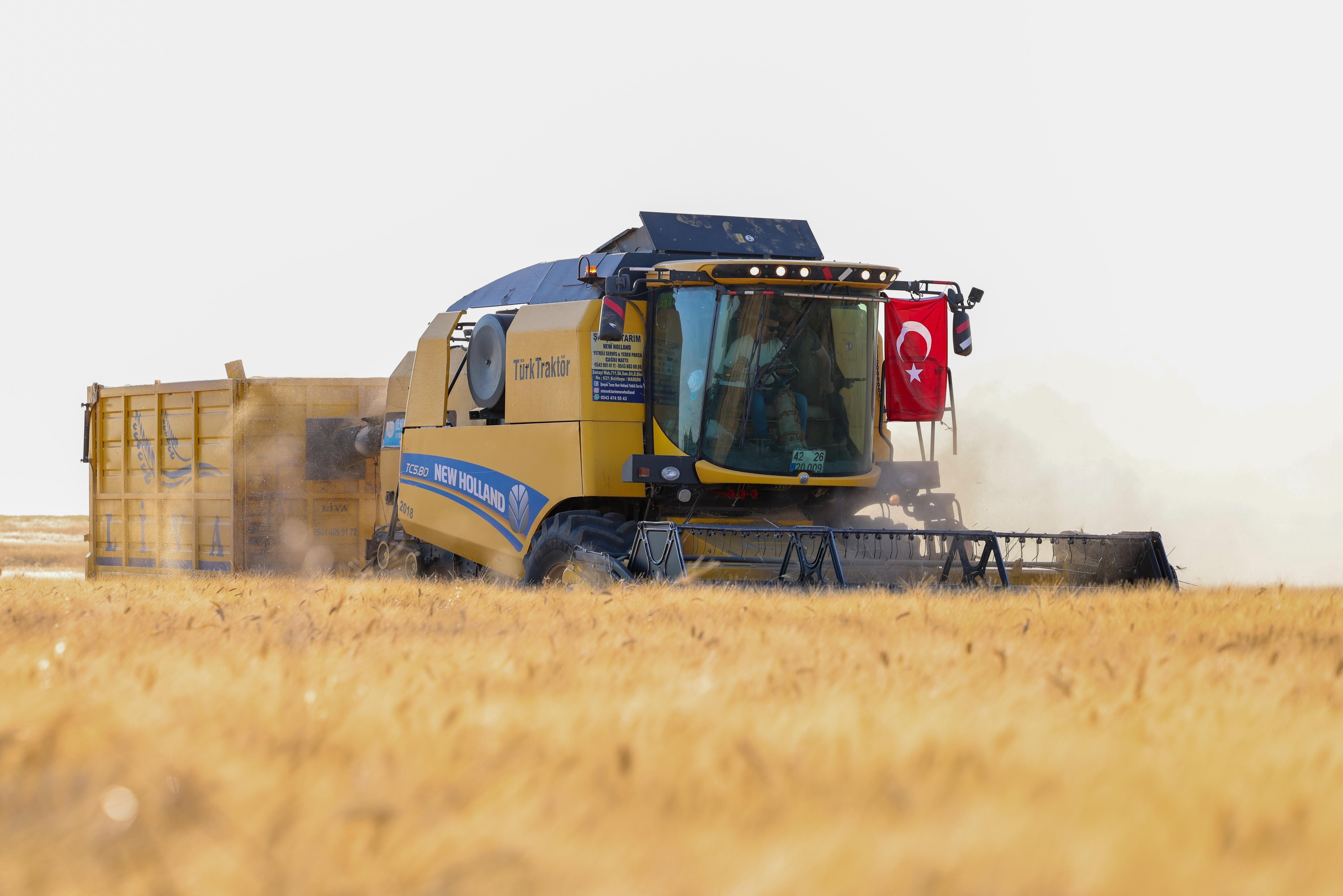 Devasa alanda hasat başladı: Hedef 709 bin ton