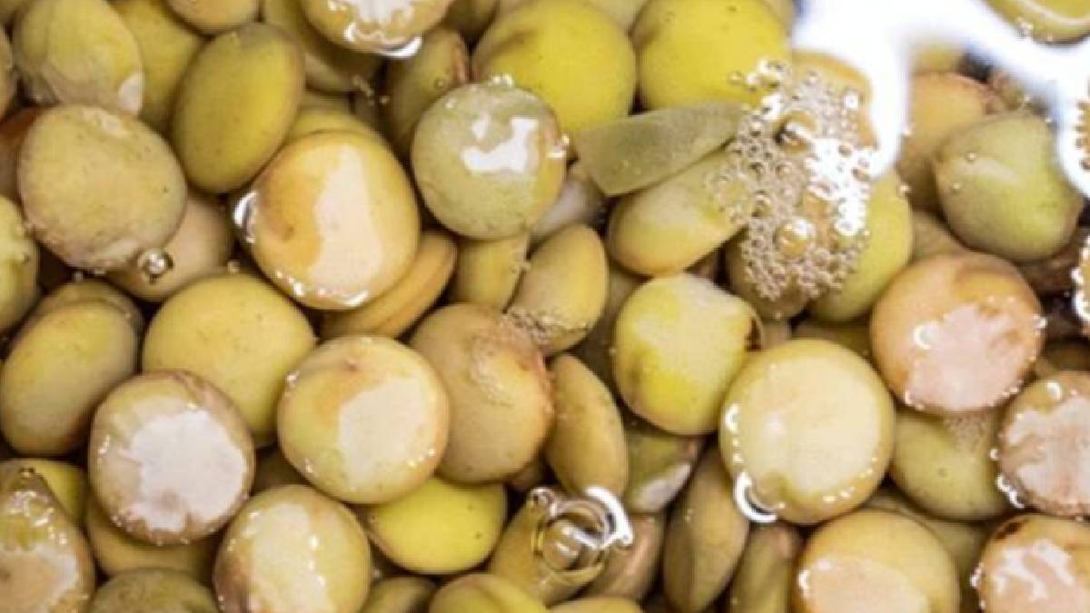 Yumurtadan çok daha fazla protein içeriyor: Yiyen hastalık nedir bilmiyor