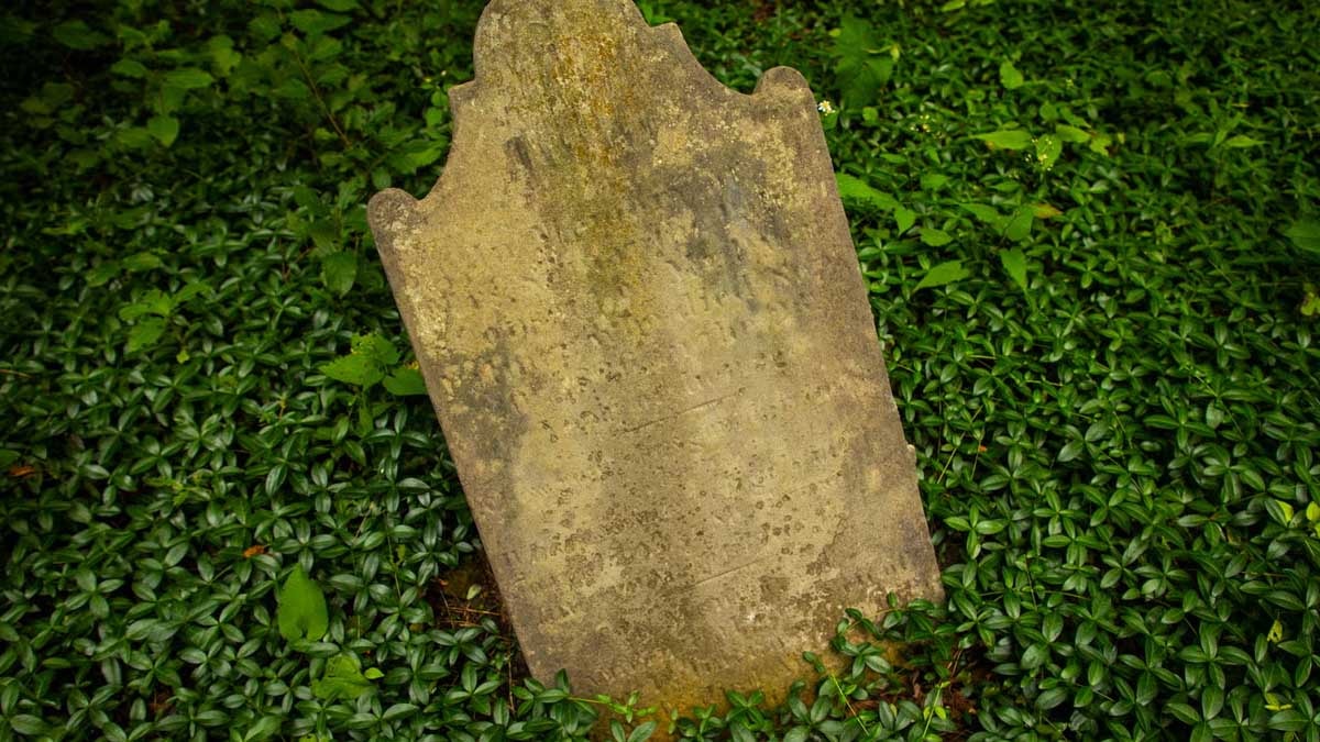 Bahçesinde bulduğu 2000 yıllık Roma mezar taşı Trakyalının çıktı 