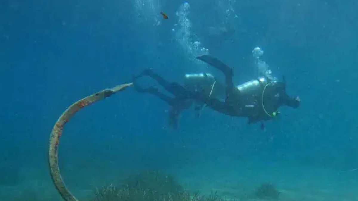 12 gün boyunca aradılar sonunda buldular: Bodrum açıklarında dev keşif