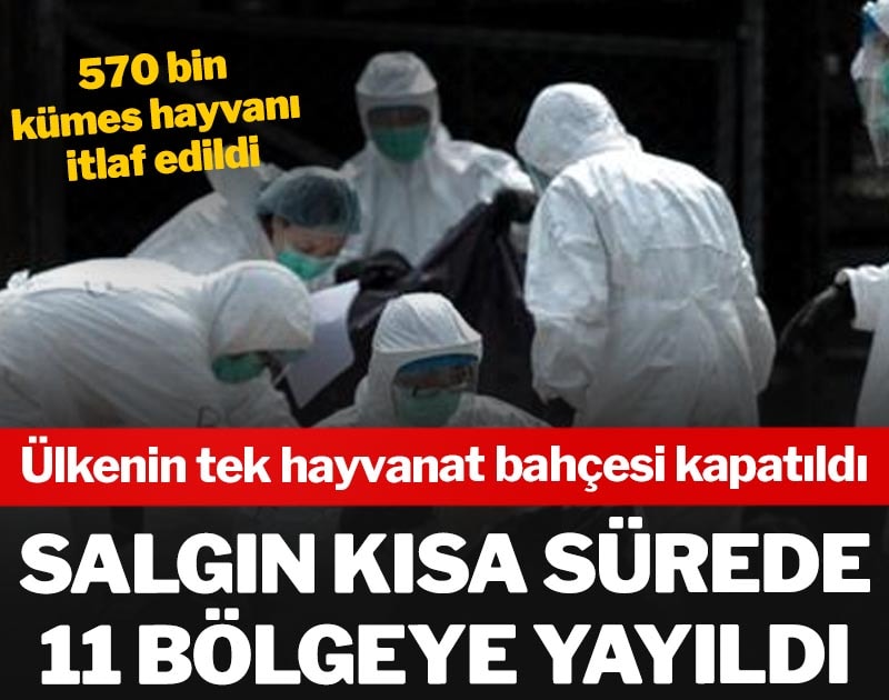 Salgın kısa sürede yayıldı: Ülkenin tek hayvanat bahçesi kapatıldı