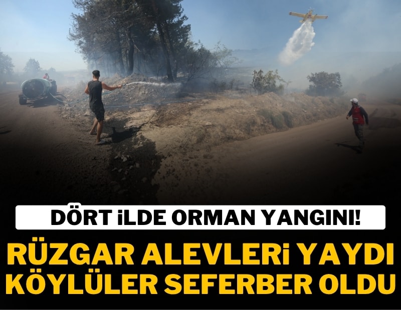 Dört ilde orman yangını: Rüzgar alevleri büyüttü, ekipler seferber oldu