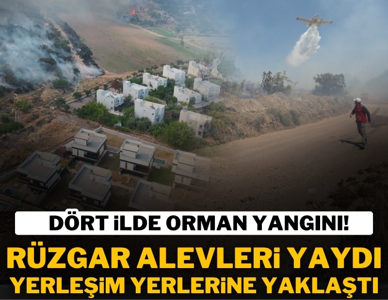 Dört ilde orman yangını: Rüzgar alevleri büyüttü, ekipler seferber oldu