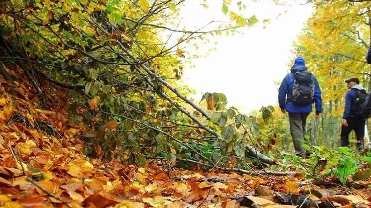 Yürüyüş yaparken servet sahibi oldu: Tam 15 milyon lira değerinde