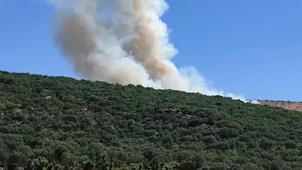 Silvan’daki meşe ormanında çıkan örtü yangını kontrol altına alındı