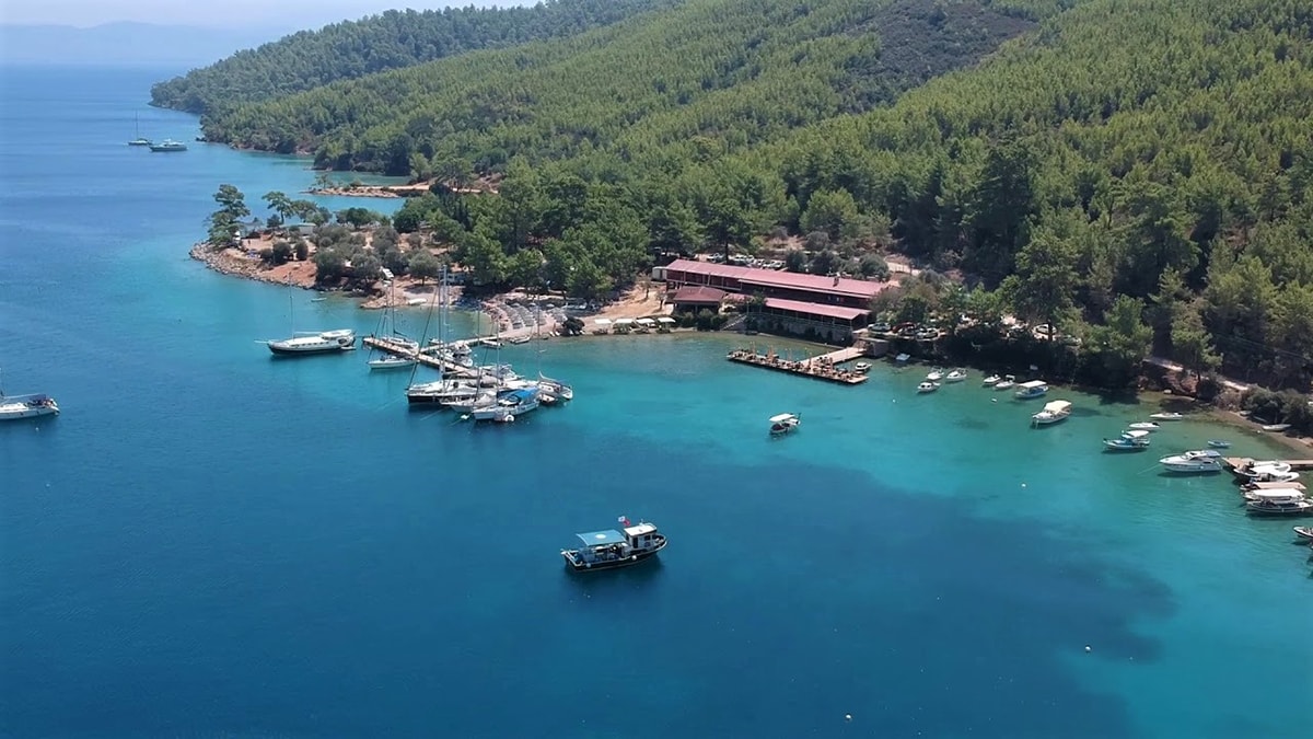 Yine yağma yine talan