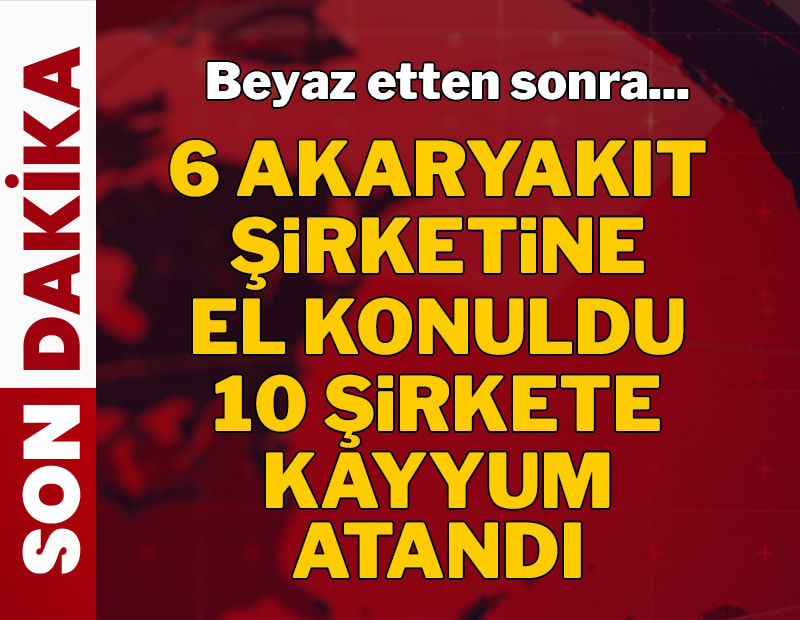 6 şirkete el konuldu, 10 şirkete kayyum atandı