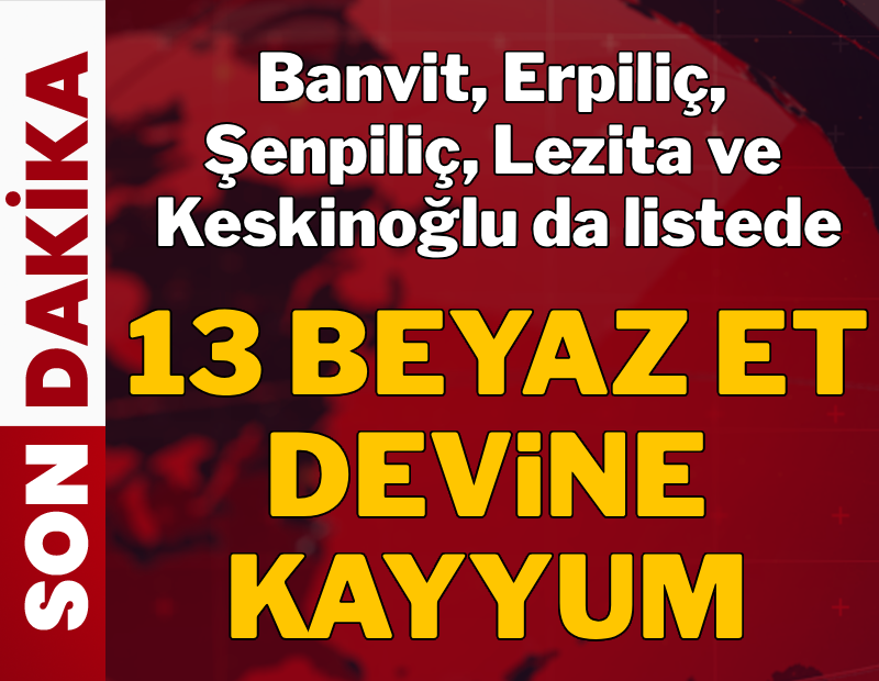 Beyaz et devlerine operasyon: 13 şirkete kayyum atandı!
