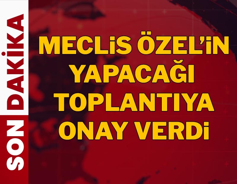 Meclis, Özgür Özel'in yapacağı toplantıya onay verdi