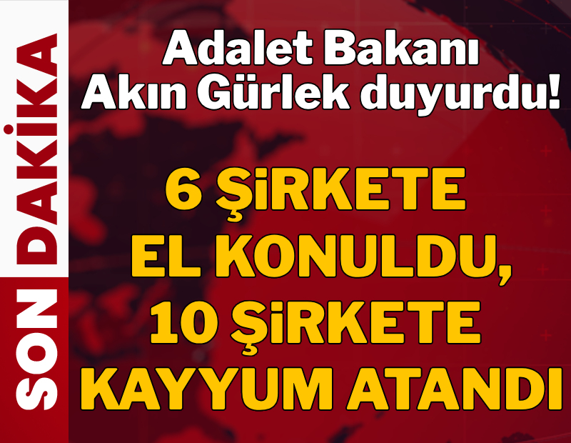 6 şirkete el konuldu, 10 şirkete kayyum atandı