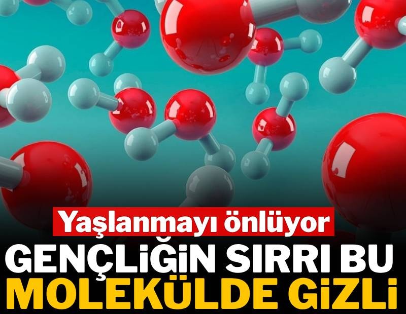 Gençliğin sırrı bu molekülde gizli