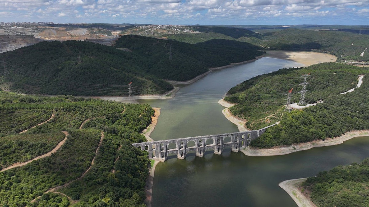 İstanbul’un ormanları talana açılıyor