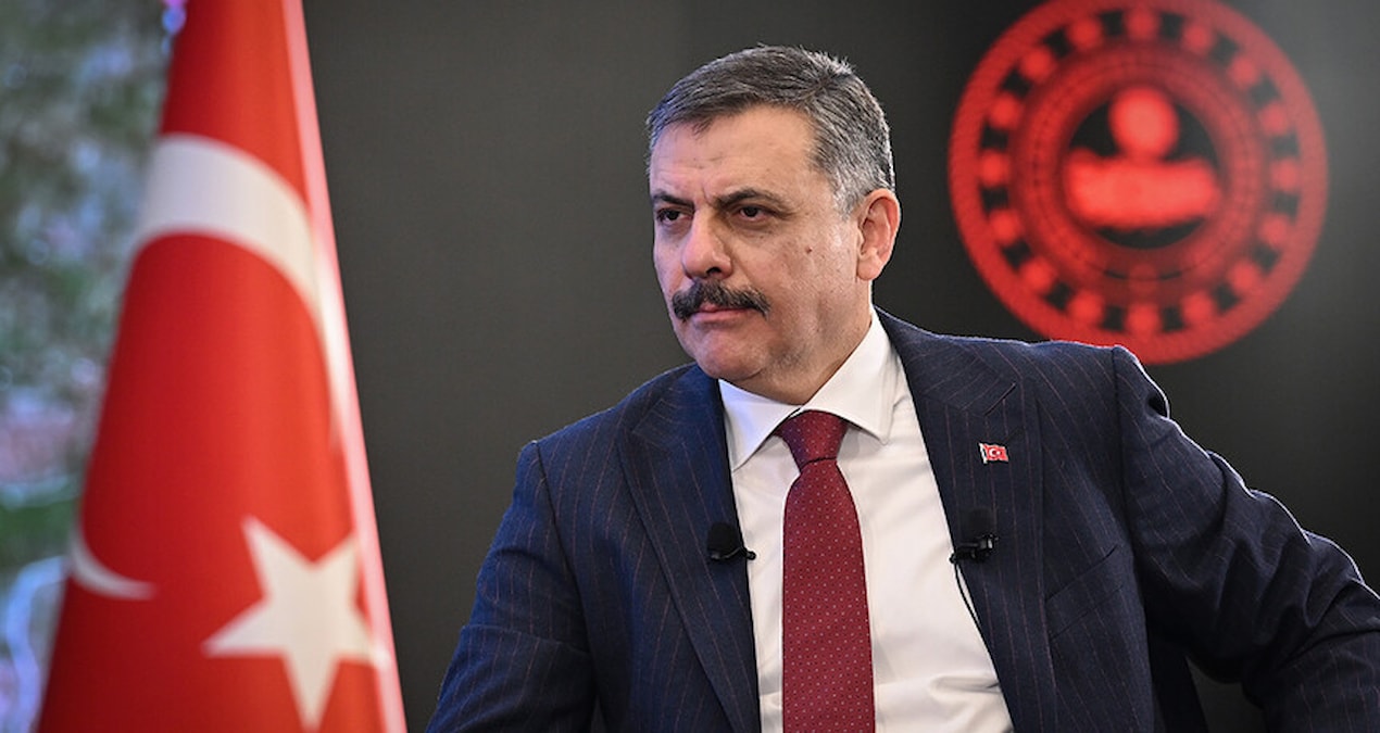 İçişleri Bakanı Yılbaşına Kadar Sokak Köpeği Kalmayacak kapak görseli