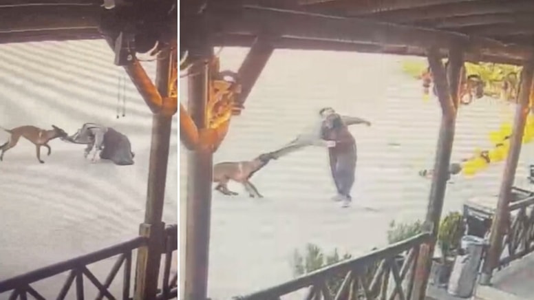 Dinlenme tesisinde dehşet; sürüklediği kadının kolunu parçaladı