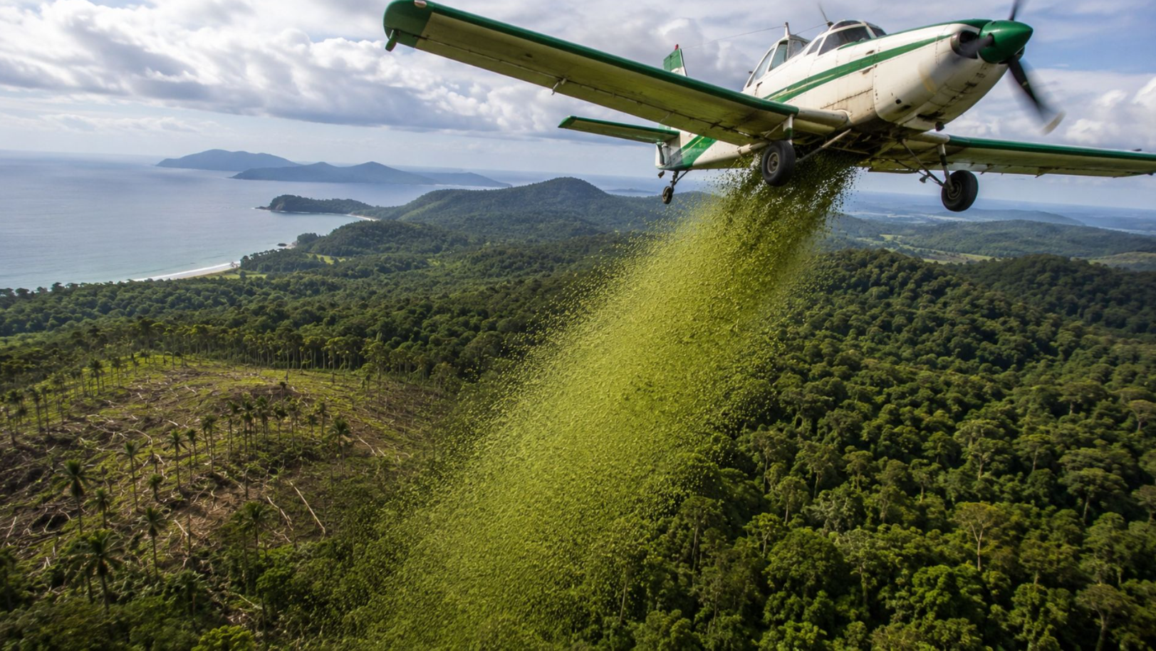 Helikopterle havadan 700 bin tane bıraktılar