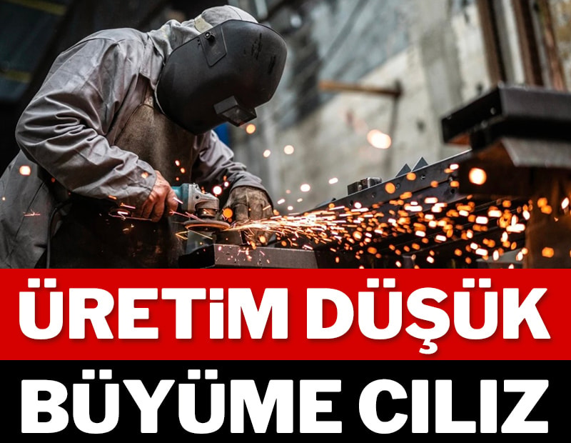Üretim düşük büyüme cılız