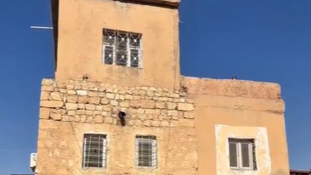 Türkiye'de oldu: Yaşadıkları evin altından tarihi zindan çıktı: