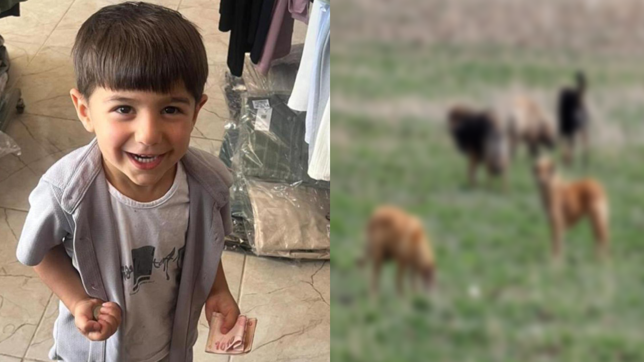 Aile defalarca belediyeyi uyarmış! 5 yaşındaki Hamza köpek saldırısında hayatını kaybetti