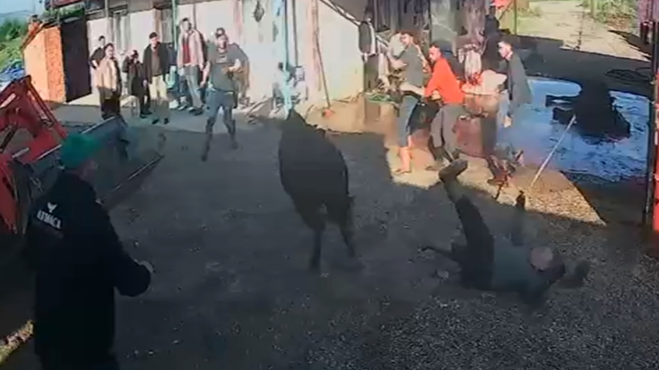 İpinden kurtulan boğa etrafındakilere saldırdı!