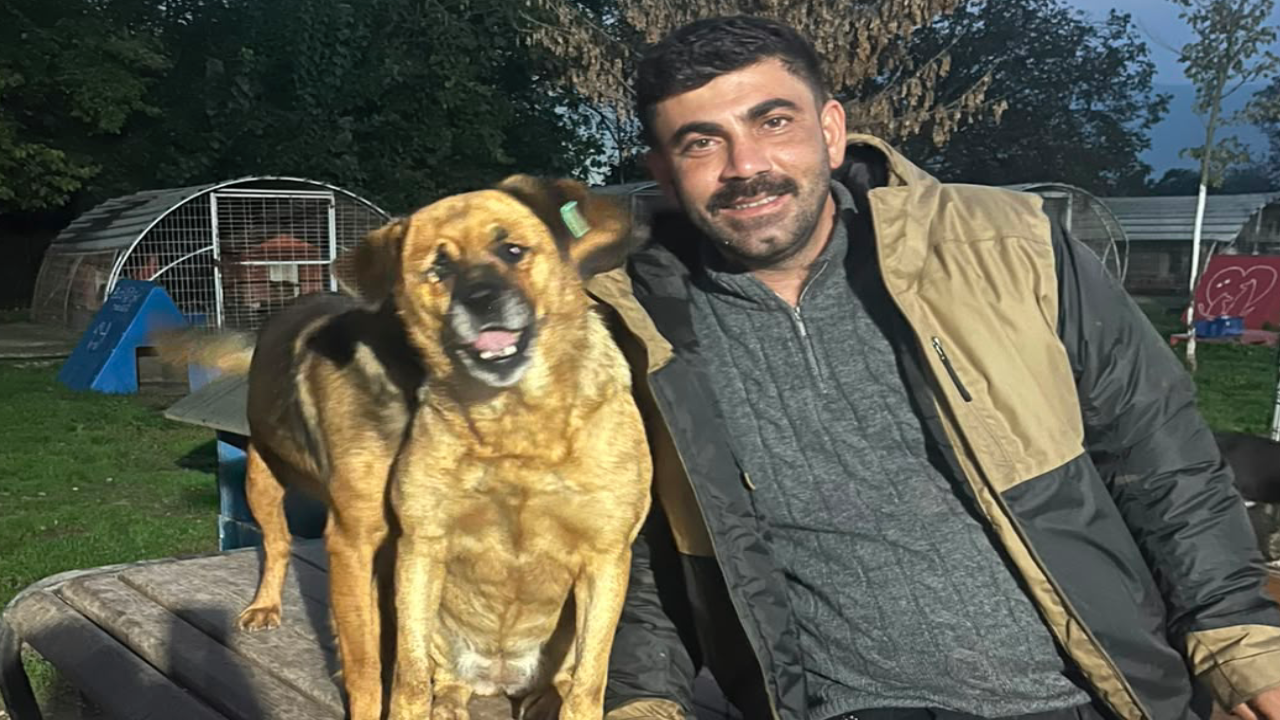 Hayvanlar için mücadele etti, çetelerin tehdidiyle karşı karşıya kaldı