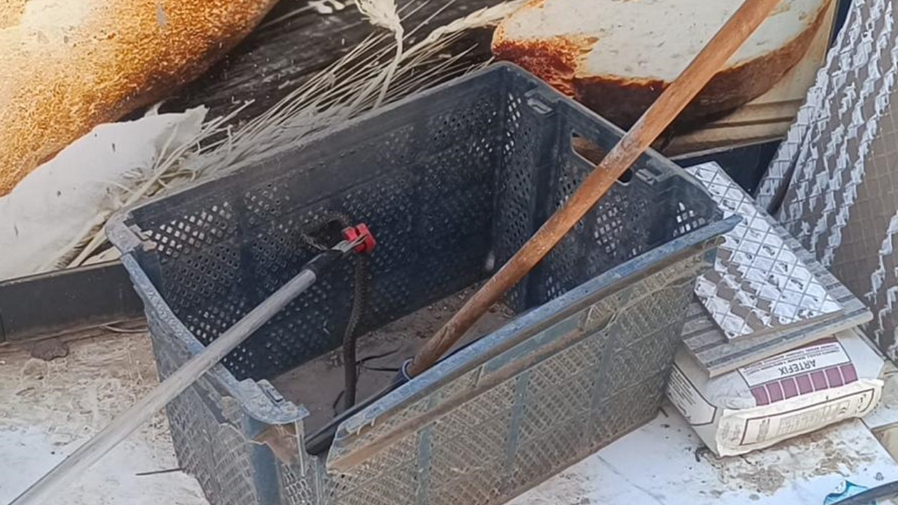 Gaziantep'te ekmek sandığına giren yılan yakalandı