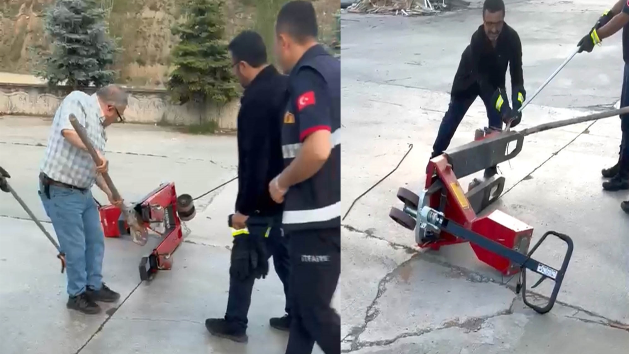 Fabrikaya giren yılan ortalığı karıştırdı