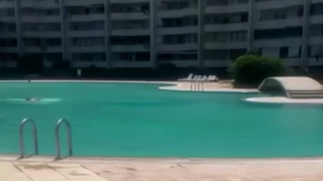 Mersin’de bir kadın haşema ile havuza alınmadı: Site görevlisi tutuklandı