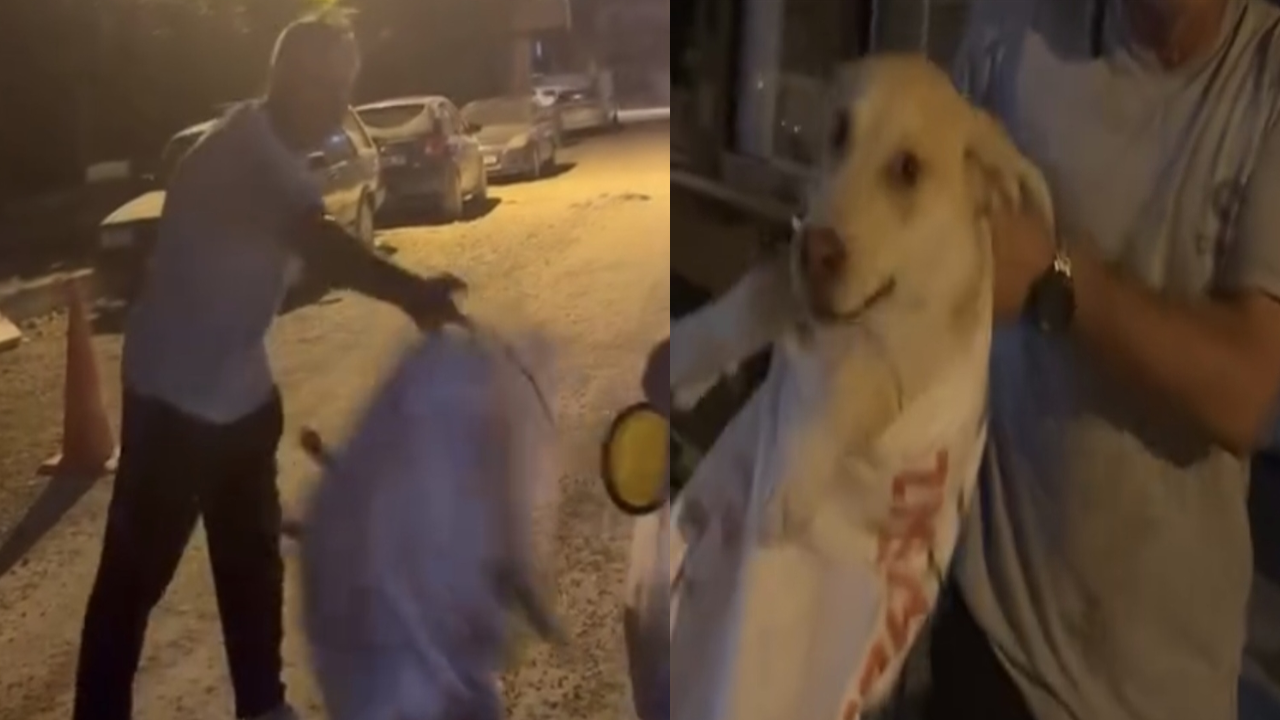 Çuvala koyulan köpeği, hayvansever kadın kurtardı