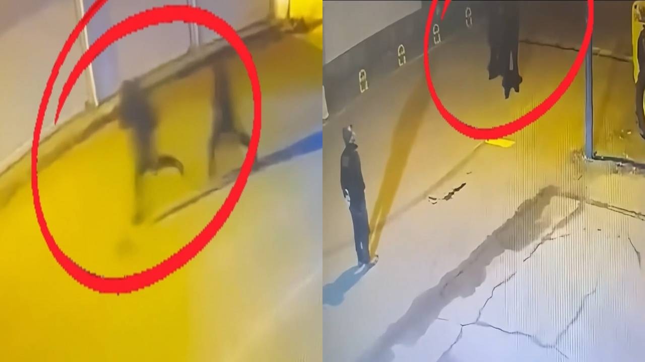 Diyarbakır'da silahlı suç örgütüne operasyon: 15 tutuklama