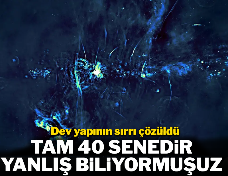 Dev yapının sırrı çözüldü! 40 yıldır yanlış biliyormuşuz
