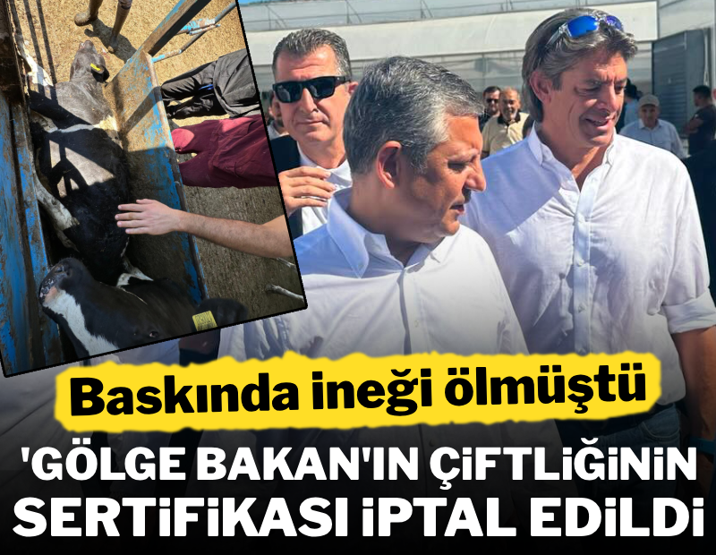 Baskında ineği ölmüştü! CHP'nin gölge bakanının çiftliğinin sertifikası iptal edildi