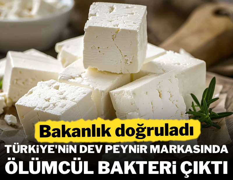 Evinizde varsa sakın yemeyin! Zincir marketlerde satılan peynirin içinden bakın ne çıktı