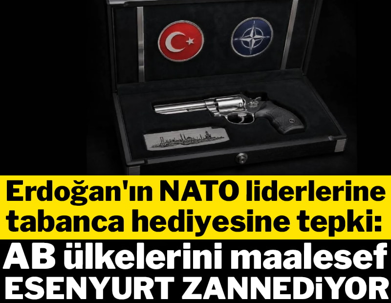 Erdoğan'ın NATO liderlerine tabanca hediyesine tepki: 'Esenyurt zannediyor'