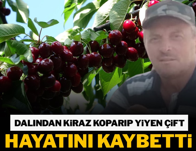 Dalından kiraz koparıp yiyen çift hayatını kaybetti